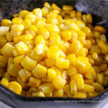 IQF Frozen Vegetables Sweet Corn Kernel